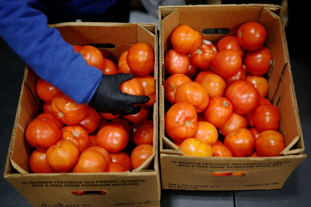 Preços mundiais dos alimentos caem pelo terceiro mês em novembro, diz FAO