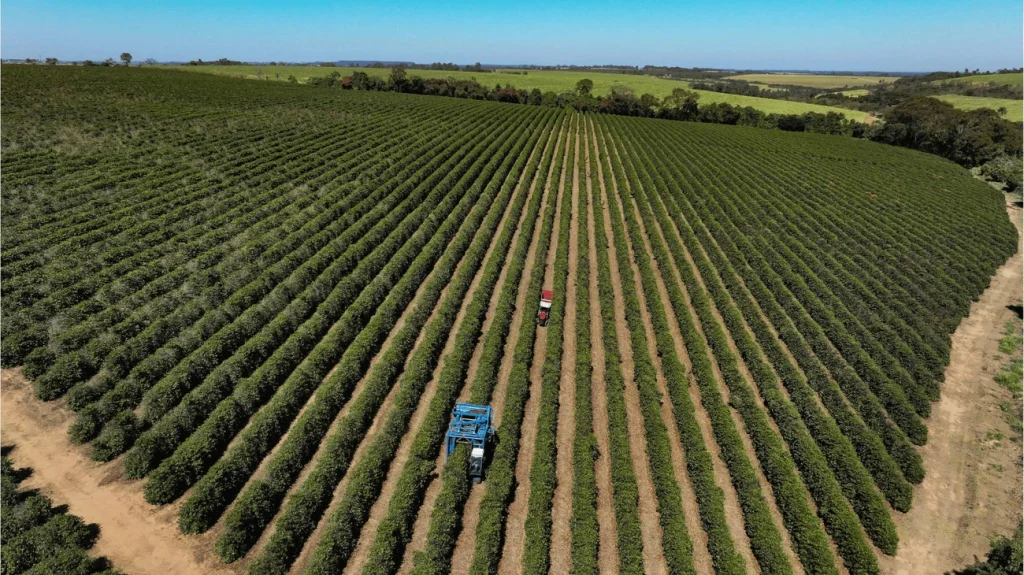 Trump deve criar pacote de US$ 12 bi para agricultores afetados por guerra comercial