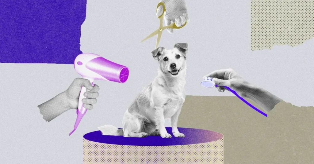 Petz-Cobasi expansão agora com lojas menores e serviços veterinários