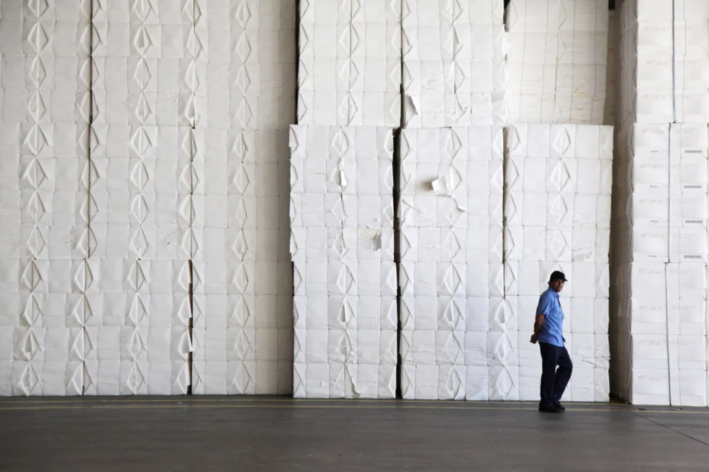 Suzano e Klabin reduzem dependência da celulose agora com embalagens e papel higiênico